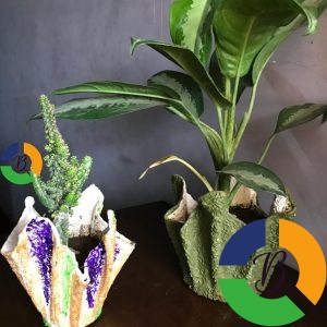 Indoor and outdoor pots and plants - Brabeton